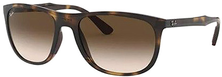 Verres Compatibles RAY-BAN 4291 - 58mm